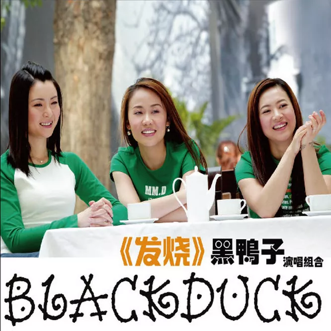 黑鸭子演唱组合 - 发烧