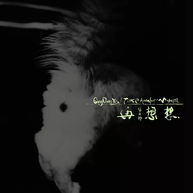 宋冬野 - 再想想
